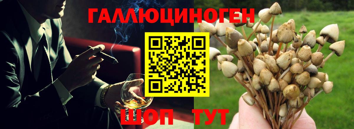 Верхняя Салда  Галлюциногенные грибы GOLDEN TEACHER  где можно купить   Вход с VPN 