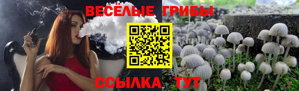 Галлюциногенные грибы Magic Shrooms Верхняя Салда